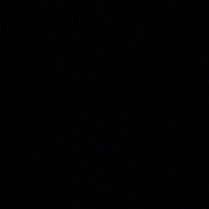 Meet your Posher, Bella